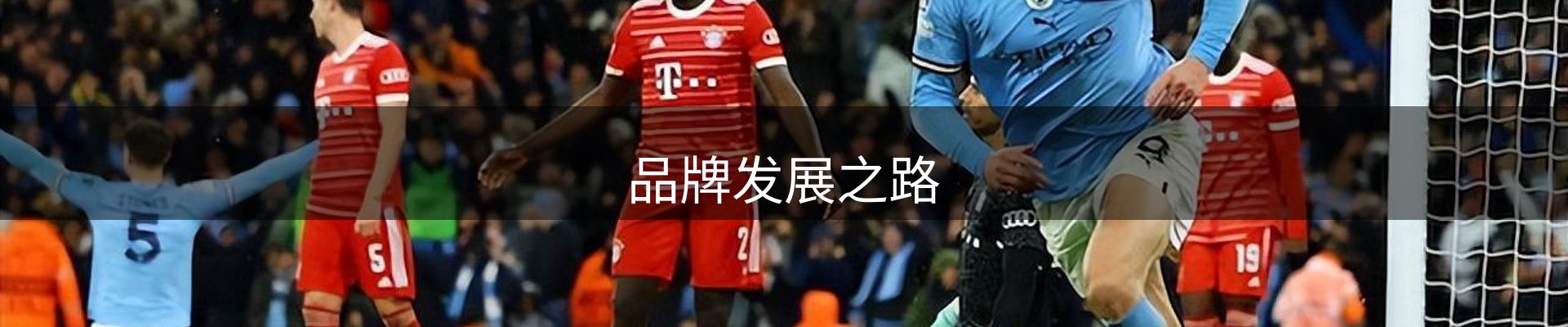 品牌发展之路
