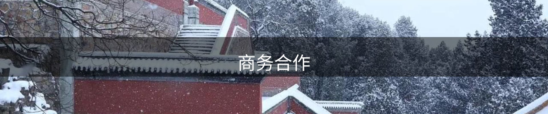 商务合作